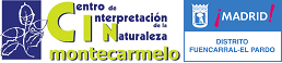 cin montecarmelo